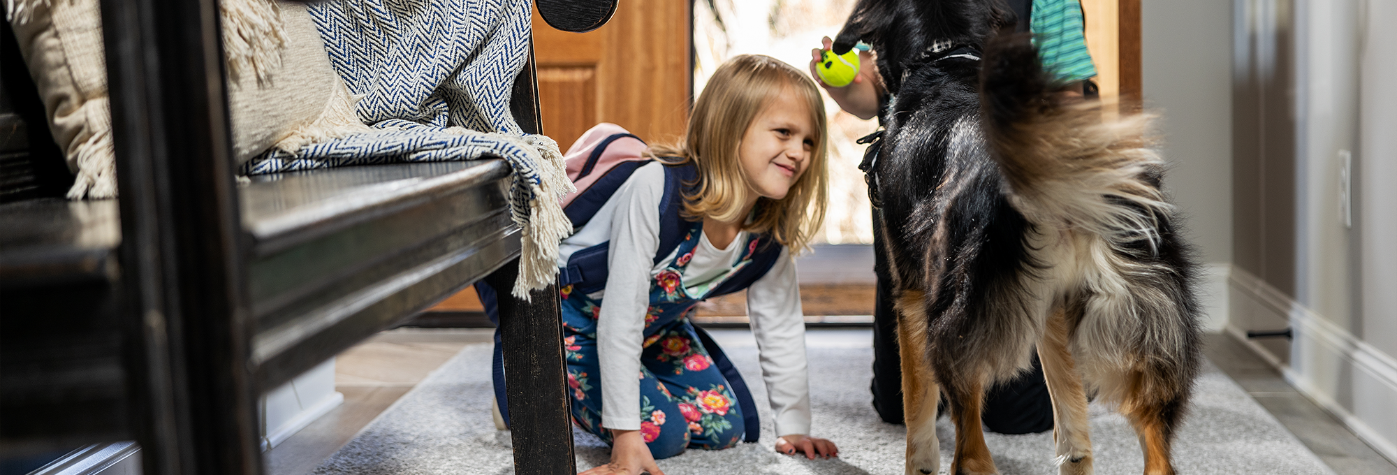 Pet Month Banner